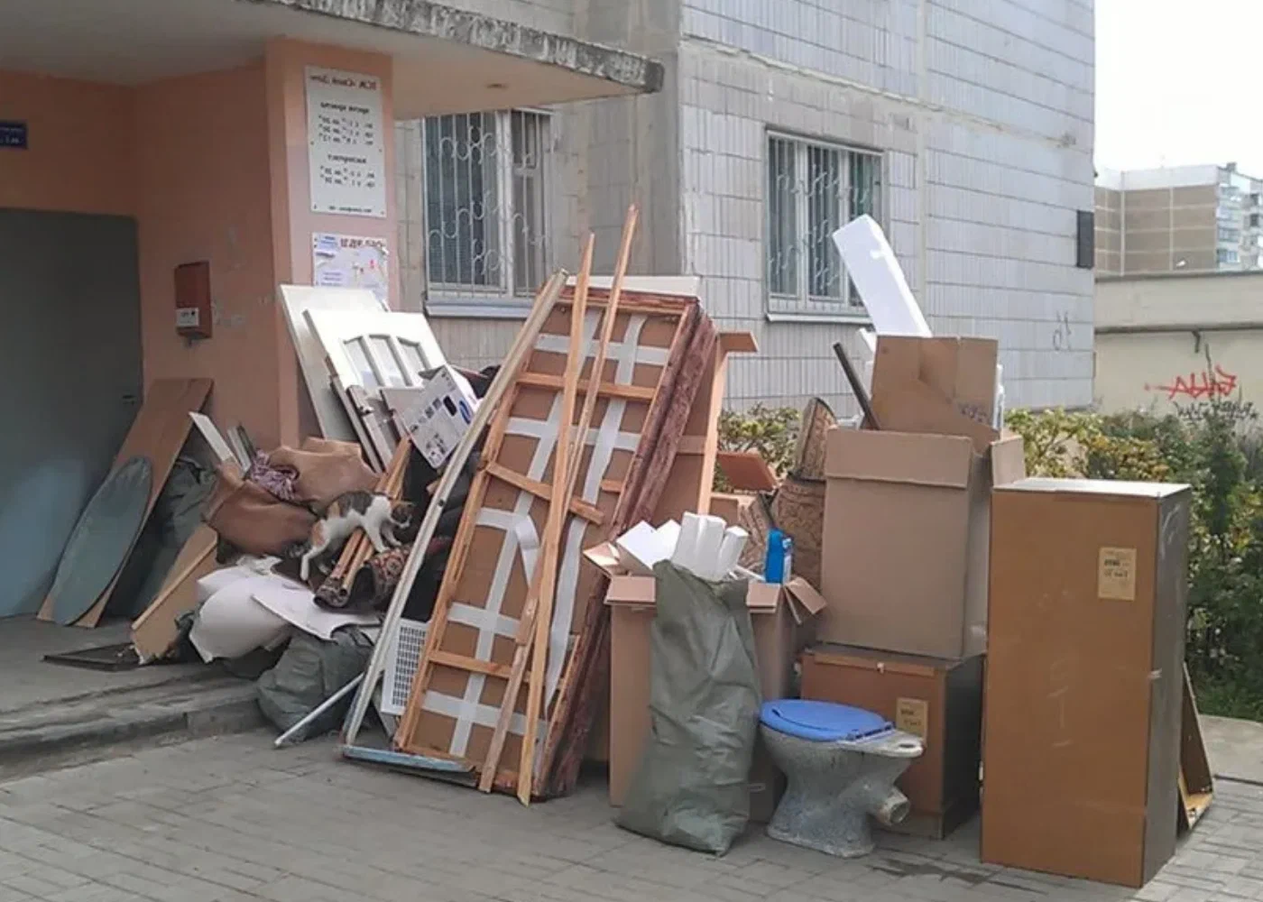 Профессиональный вывоз мусора из квартиры в Нижнем Тагиле в октябре