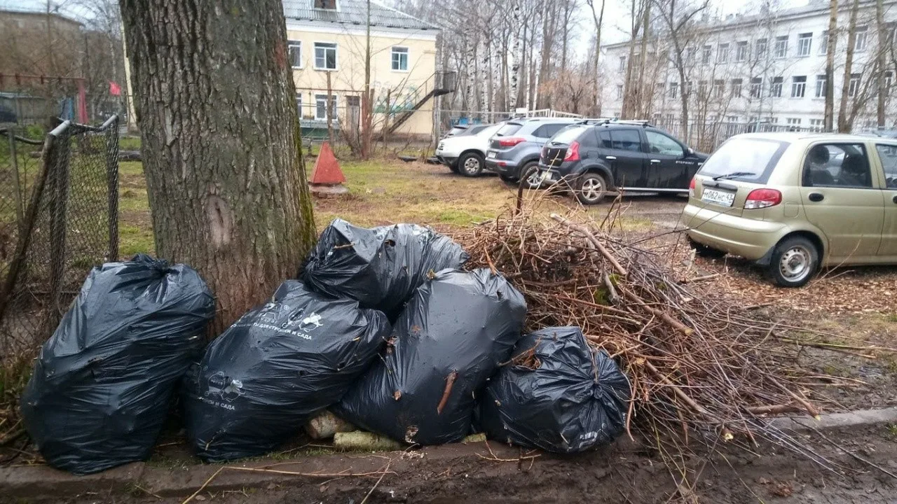 Вывоз мусора после субботника в Нижнем Тагиле от ПроМусор – уборка и утилизация отходов от 2446 руб