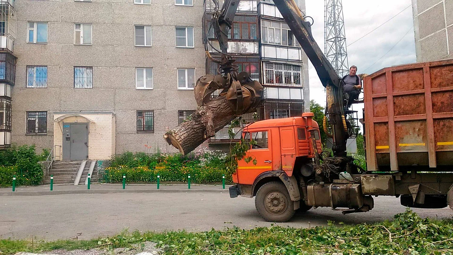 Вывоз спиленных веток и деревьев в Нижнем Тагиле от ПроМусор: порубочные остатки, утилизация, цена от 3019 руб