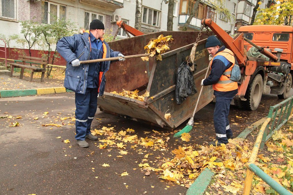 Вывоз опавшей листвы и растительного мусора в Нижнем Тагиле от ПроМусор – цена от 4684 руб., быстрая уборка и утилизация